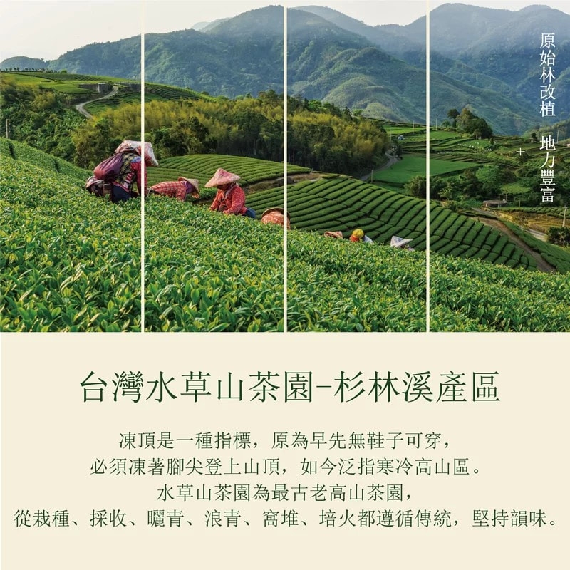 阿里山茶園